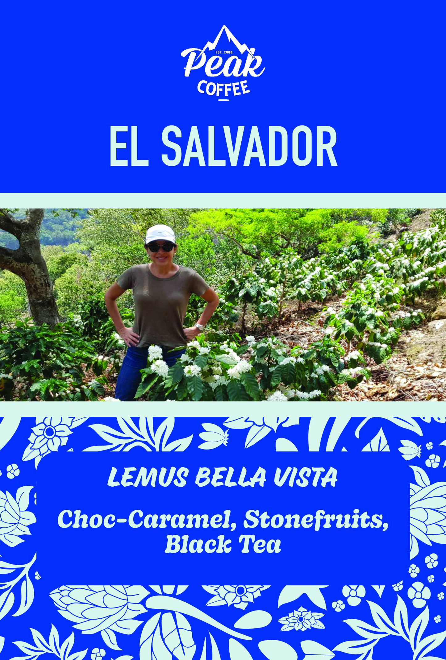 El Salvador - Bella Vista - April 2025 Roasters Selection
