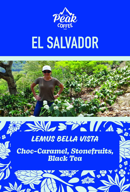 El Salvador - Bella Vista - April 2025 Roasters Selection